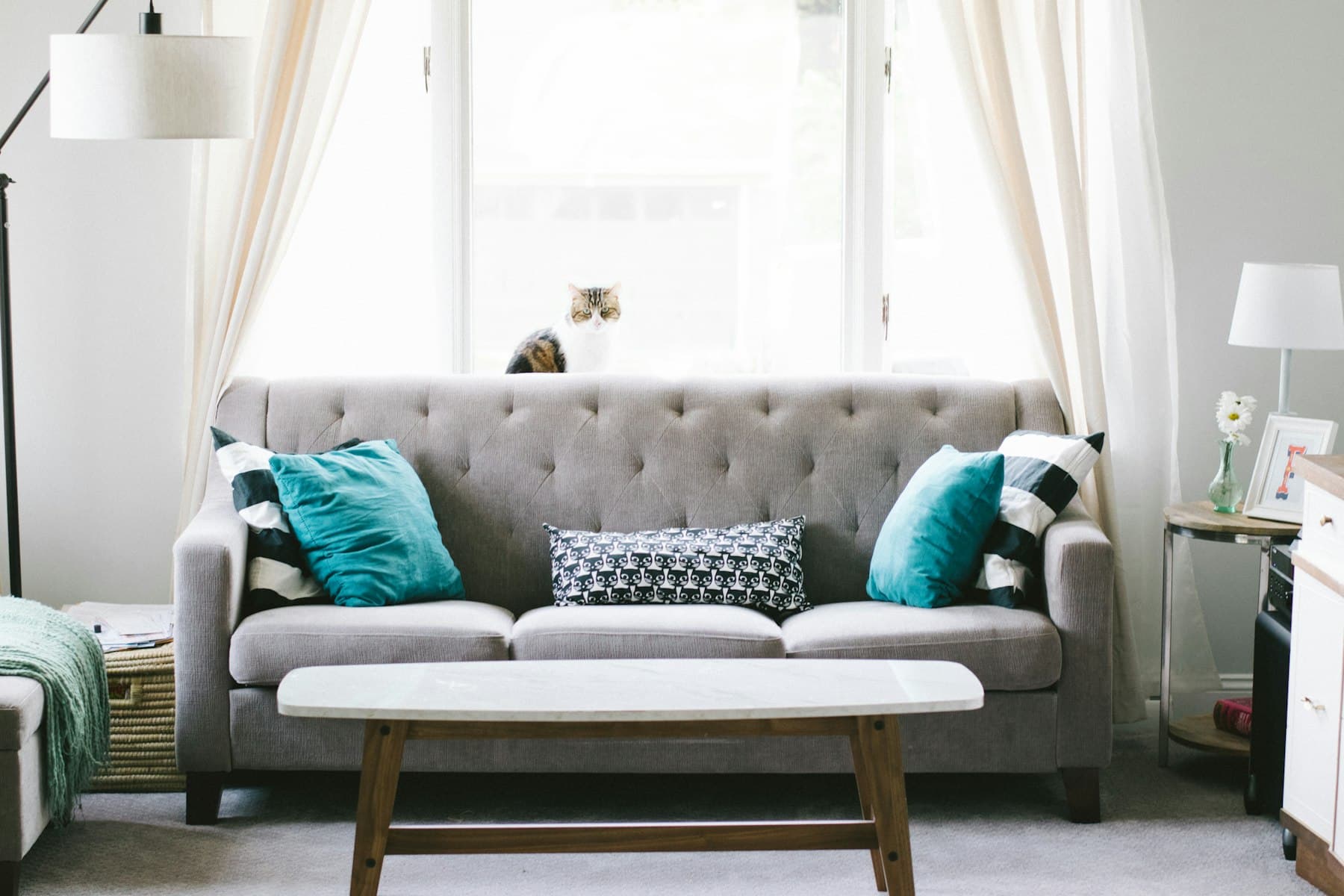 Bright living room with tufted sofa and coffee table